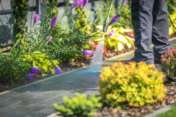 Best Winterizing Services  in Norwood, OK